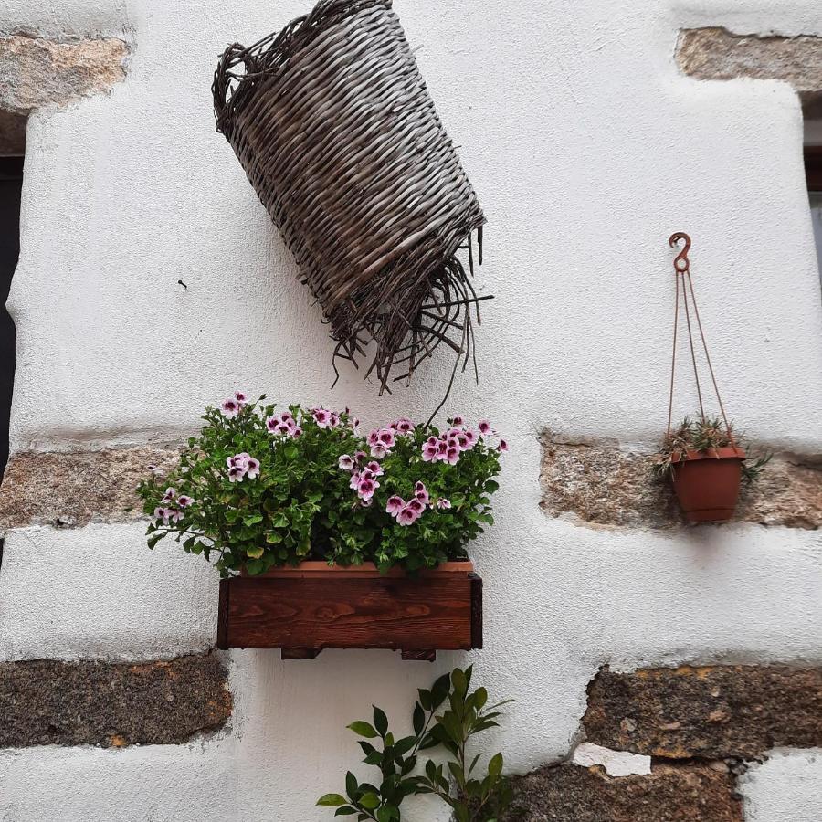 La Corte di Grazia_IUN P2039/40 Nuoro  Esterno foto